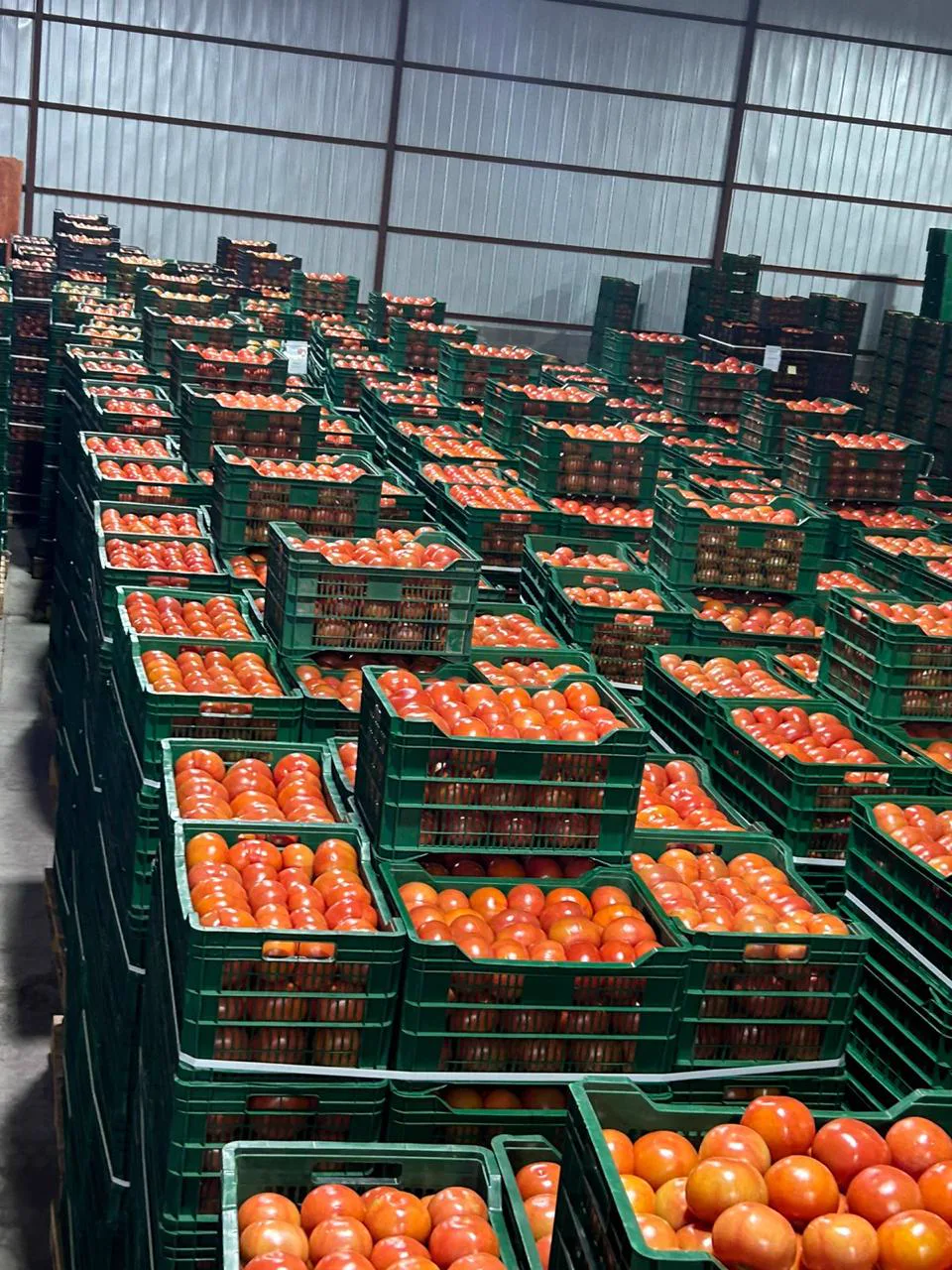 Cultivos de Agrícola Sefran