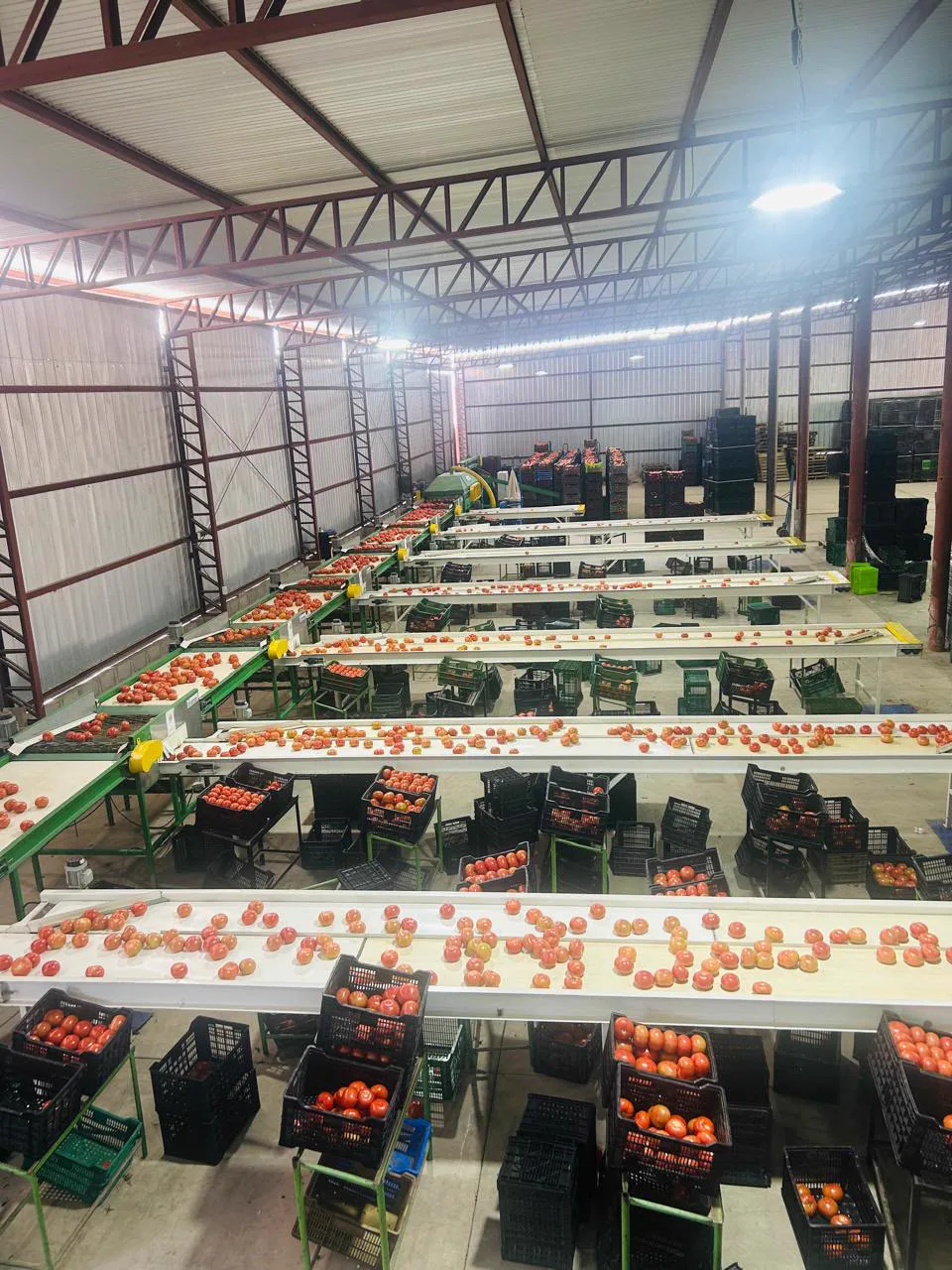 Jornada de trabajo en el campo